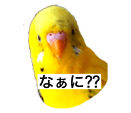 735680923