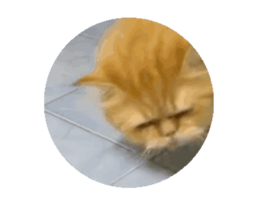 735686190