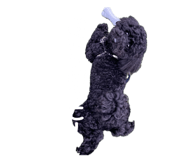 735697079