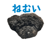 735697081