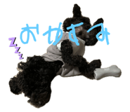 735697082