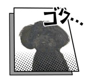 735697089