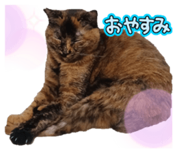 735699778