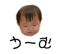 735719491