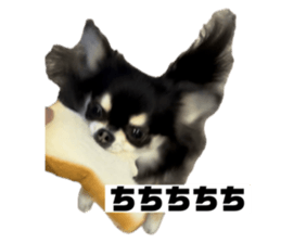 735767989