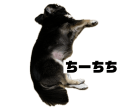 735767991
