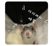 735775200