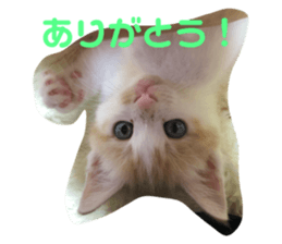 735778413
