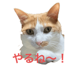 735778414