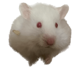 735788907
