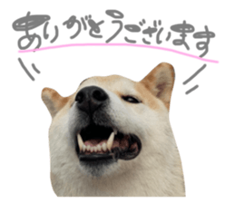735796513