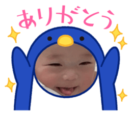 735805334