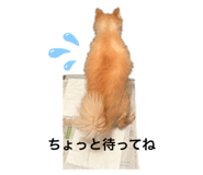 735806865