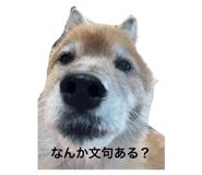735806868