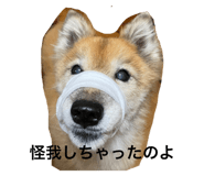 735806873
