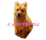 735806874