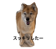 735806880
