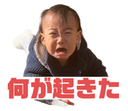 735809328