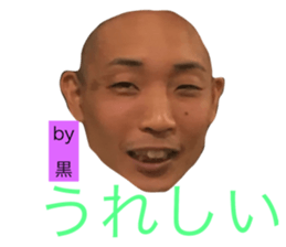 73581686