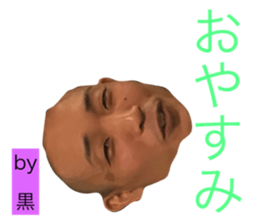 73581687