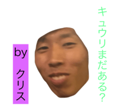 73581690