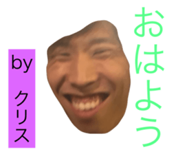 73581691