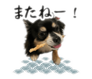 735818231