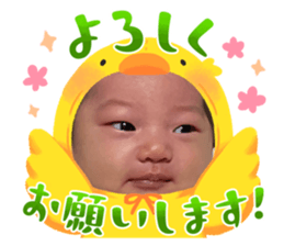 735833519