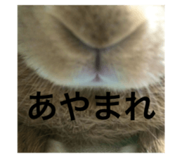 735855698