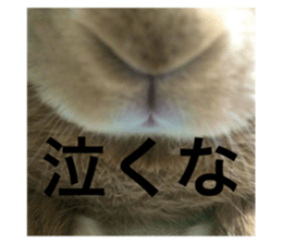735855700
