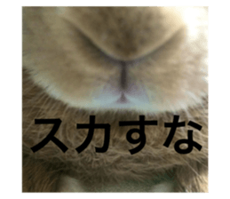 735855701