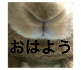 735855702
