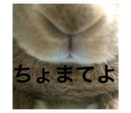 735855704