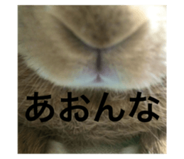 735855706