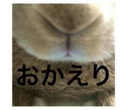 735855711