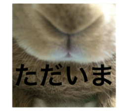 735855712