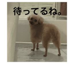 735864464