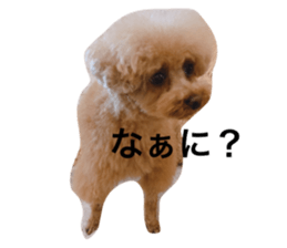 735864468