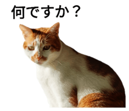 735892757