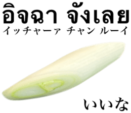 735895711