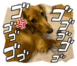 735901116
