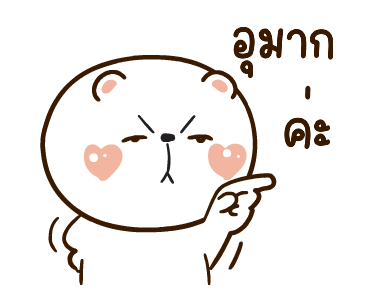 ลายที่ 19