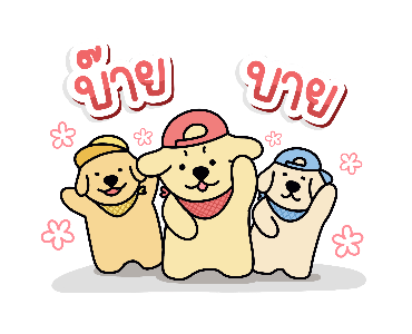 ลายที่ 11