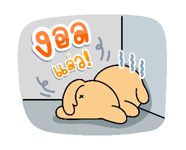 ลายที่ 19