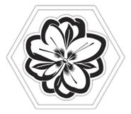 735921551