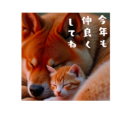 735926803