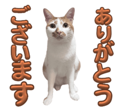 735934216