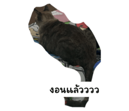 735991498