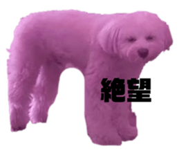 735997867