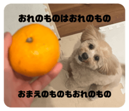 735997872